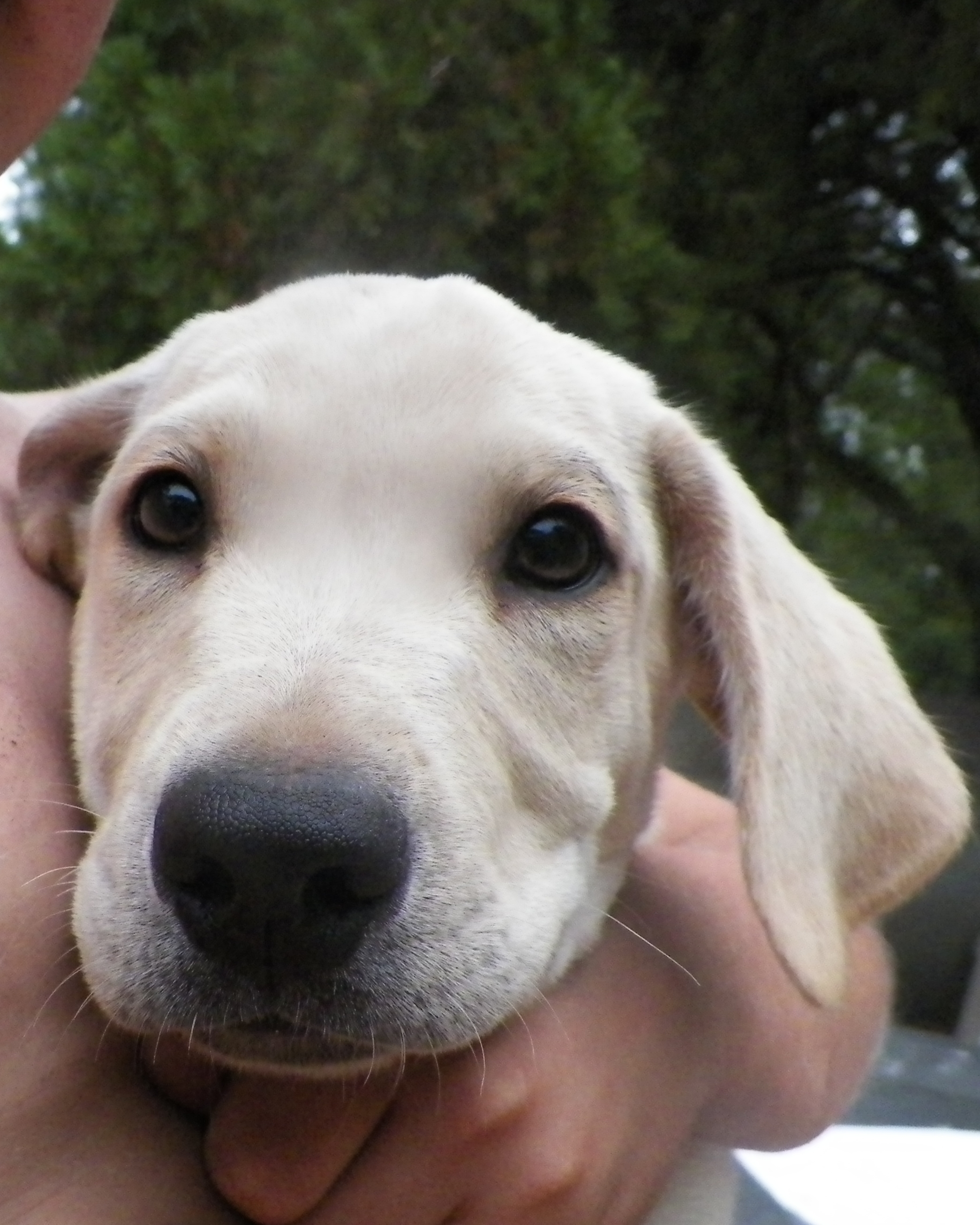 Meet Jackie